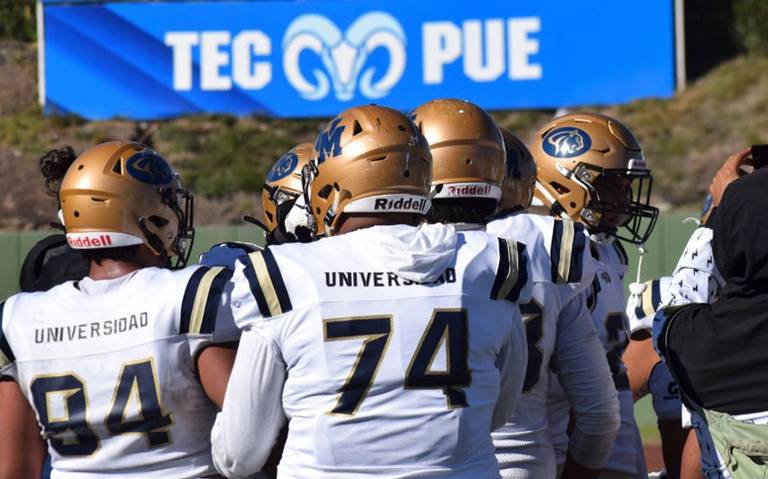 Previa semana 6 de la ONEFA: Pumas Acatlán vs Linces UVM, por la supremacía  de Naucalpan - La Prensa | Noticias policiacas, locales, nacionales