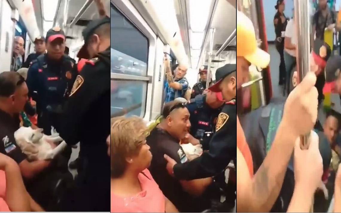 [VIDEO] Policías del Metro obligan a salir de tren a hombre con perrito  enfermo - La Prensa | Noticias policiacas, locales, nacionales