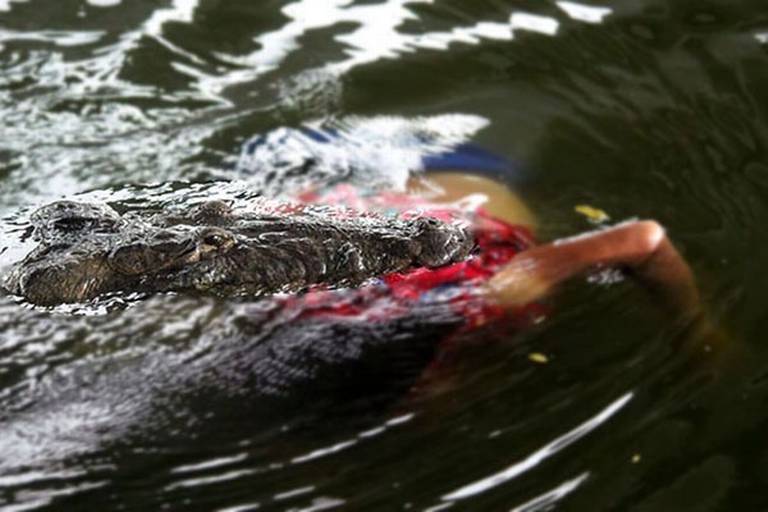 Muere mujer atacada por un cocodrilo en laguna de Tampico - La Prensa |  Noticias policiacas, locales, nacionales