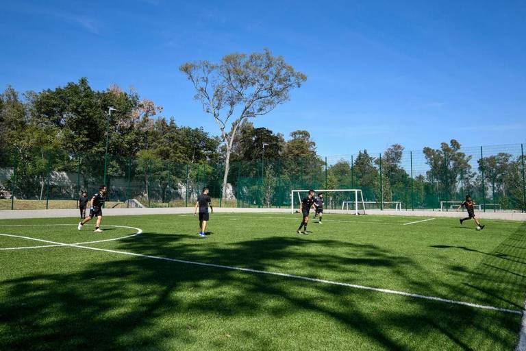 Conoce el nuevo Parque Lomas en el Bosque de Chapultepec