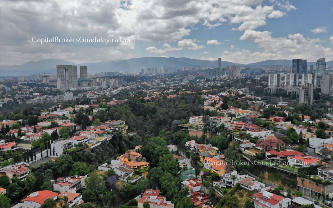 Crecen ambulantes en Lomas de Chapultepec, Polanco y Reforma, alcladía  Miguel Hidalgo - La Prensa