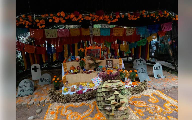 Festival del Cempasúchil y del Pan de Muerto en Huerto Roma Verde - La  Prensa | Noticias policiacas, locales, nacionales