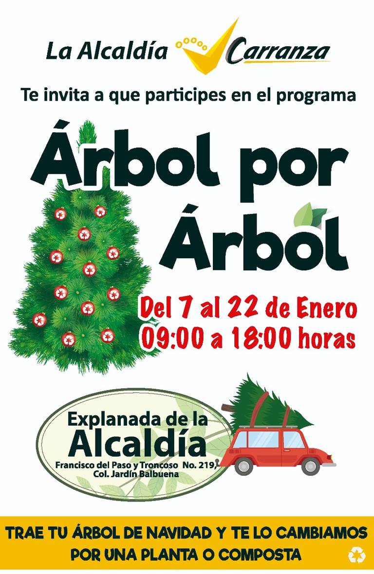 Alcaldía Venustiano Carranza inicia recolección de árboles de navidad - La  Prensa | Noticias policiacas, locales, nacionales