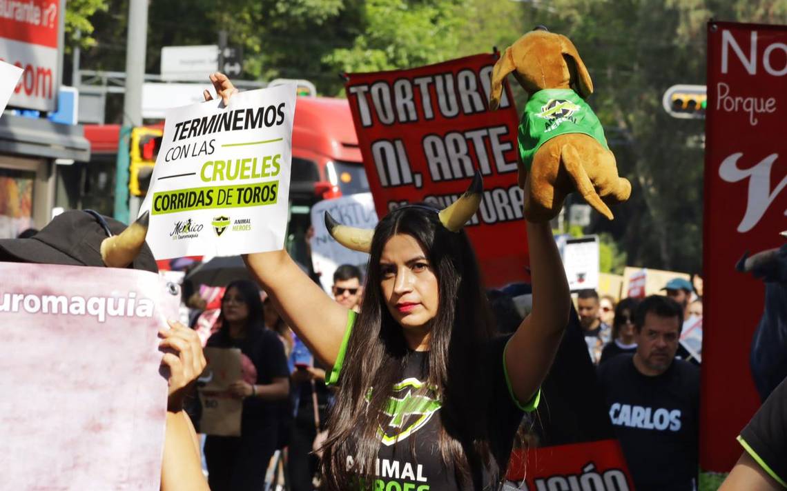 Pintas y consignas durante protesta contra corridas en la Plaza de Toros  México - La Prensa | Noticias policiacas, locales, nacionales