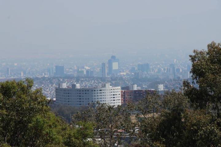 CDMX celebra el Día del Medio Ambiente entre múltiples contingencias ambientales