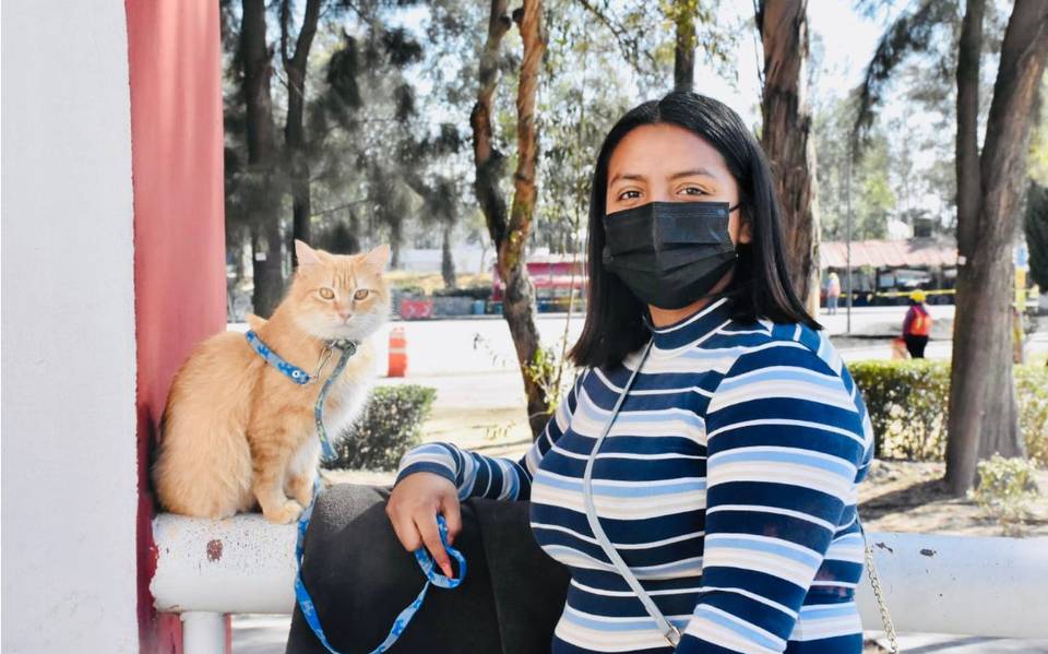 Jornada intensa de esterilización canina y felina en Tláhuac - La Prensa |  Noticias policiacas, locales, nacionales