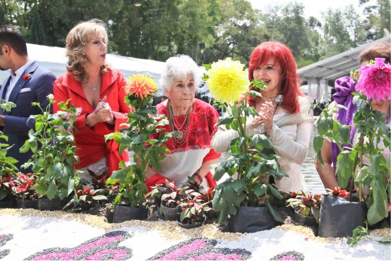Inauguran la Feria de las Flores 2019 en San Ángel - La Prensa | Noticias  policiacas, locales, nacionales