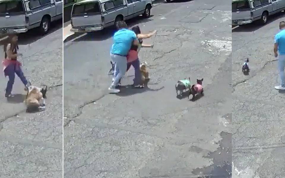 Video Identifican Al Que Tacleo A Una Mujer Por Incidente De Perros Noticias Policiacas Locales Nacionales La Prensa